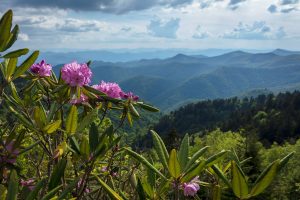 cherokee-nc-area-attractions-itinerary